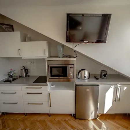 Sweet Penthouse Vinohrady Prague