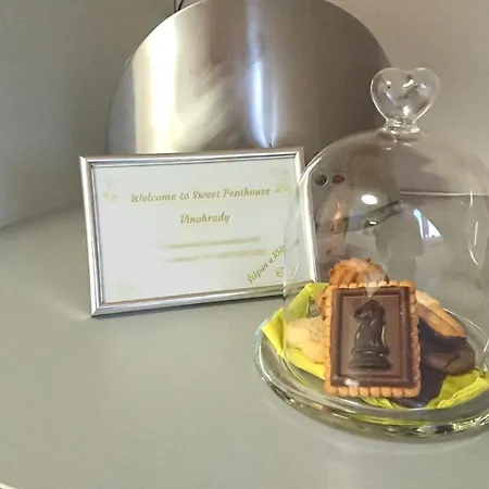 Sweet Penthouse Vinohrady Appartement